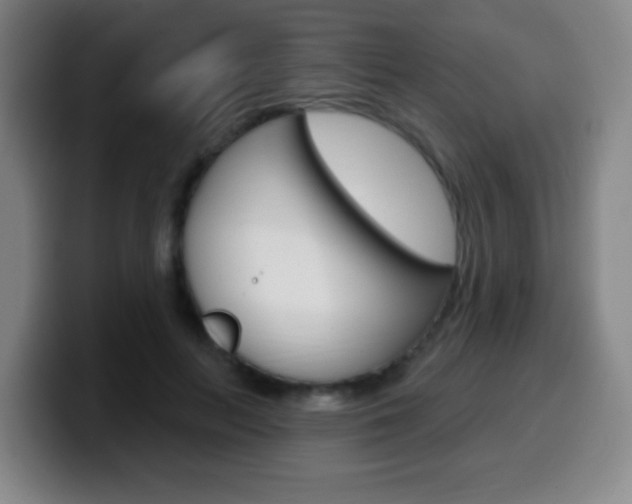 X0000099520647200805151033