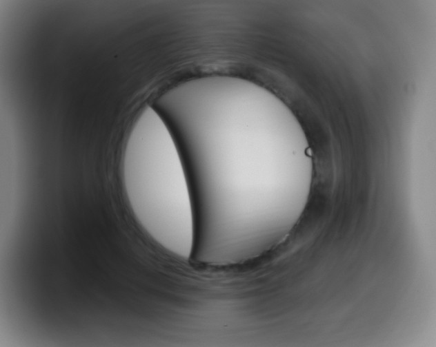X0000099520648200805151033