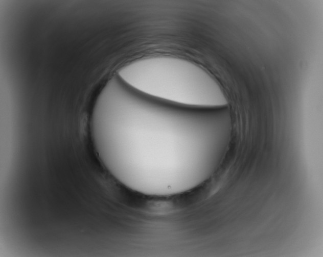 X0000099520649200805151033