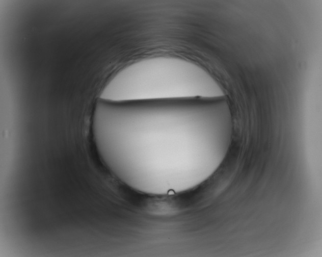 X0000099520652200805151033