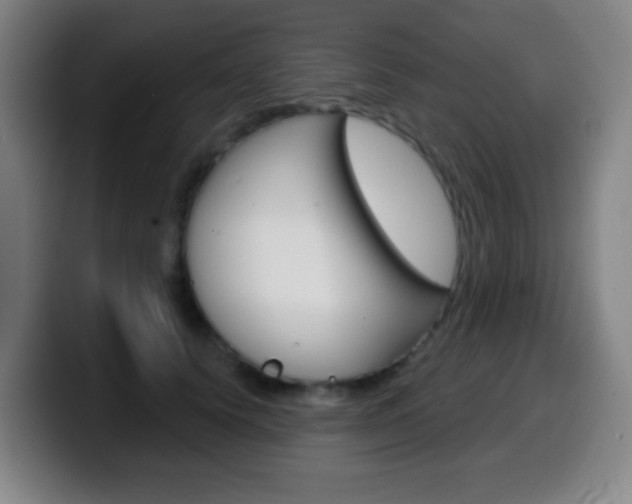X0000099520656200805151033