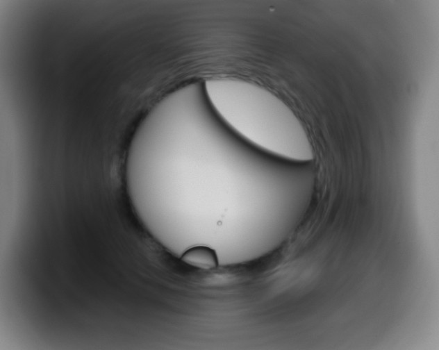 X0000099520658200805151033
