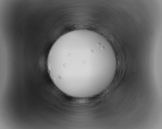 X0000099520659200805151033