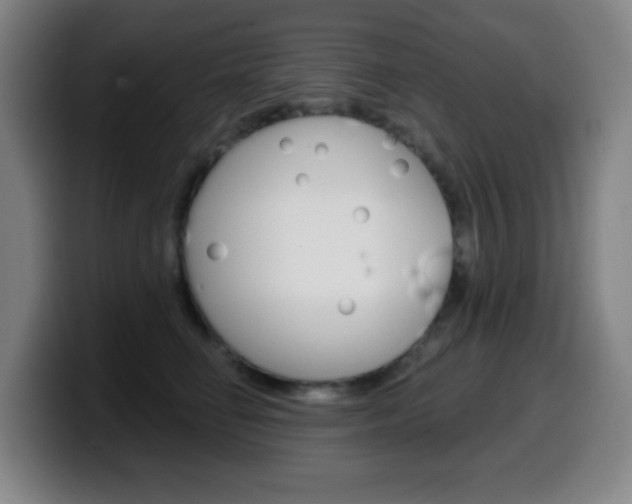 X0000099520662200805151034