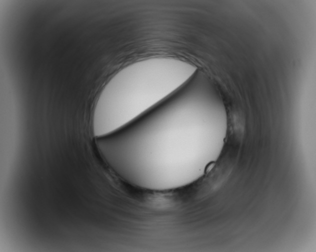 X0000099520664200805151034