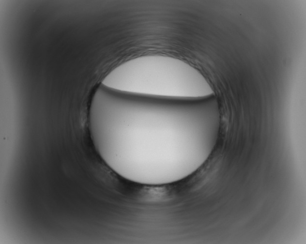 X0000099520665200805151034