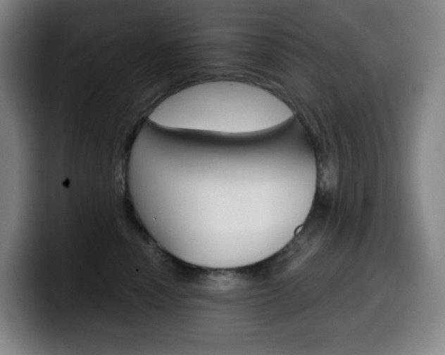 X0000099520666200805151034