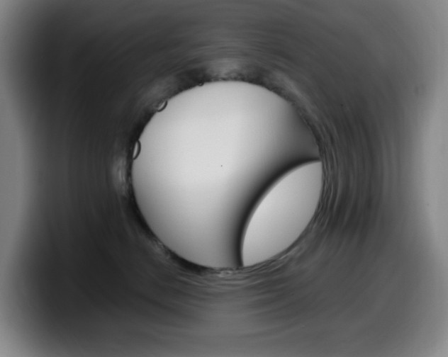 X0000099520670200805151034