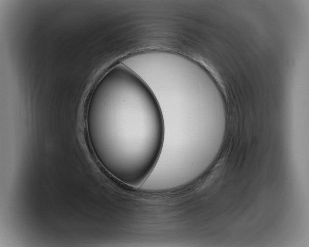 X0000099520673200805151033