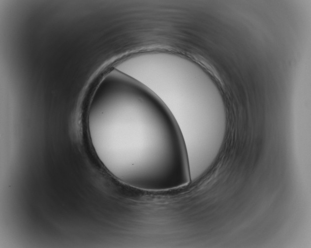 X0000099520676200805151033