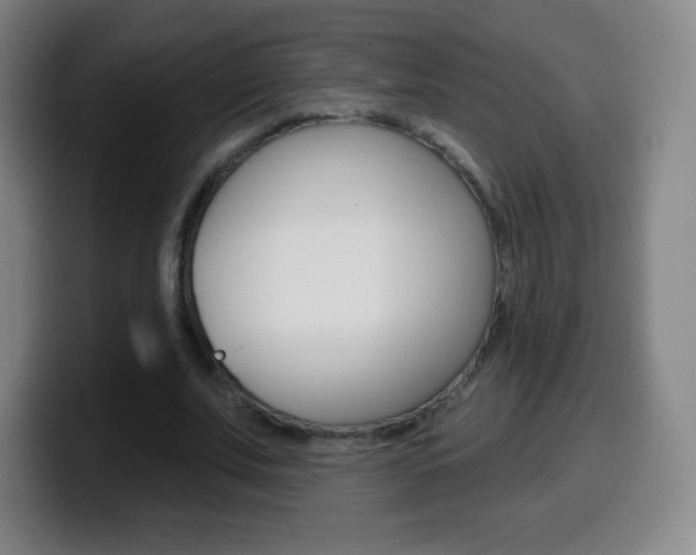 X0000099520679200805151033