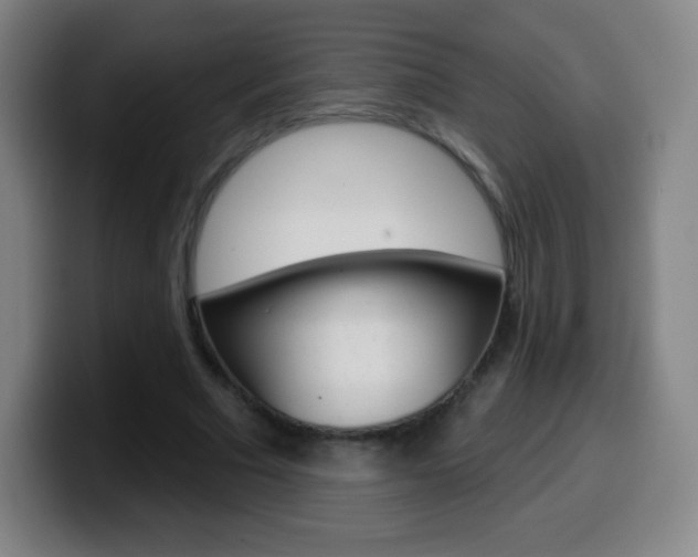 X0000099520681200805151033