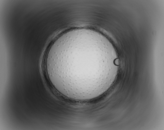 X0000099520682200805151033