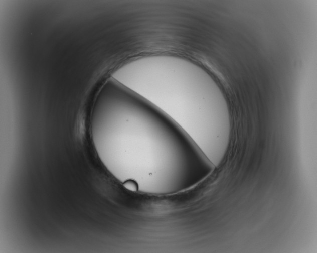 X0000099520685200805151033