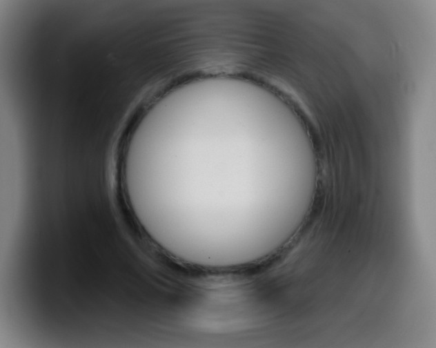 X0000099520686200805151033