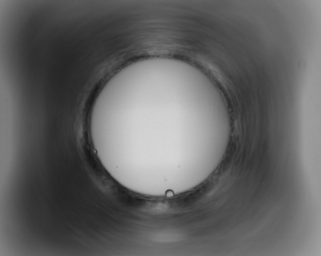 X0000099520687200805151033