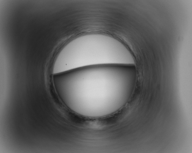 X0000099520688200805151033