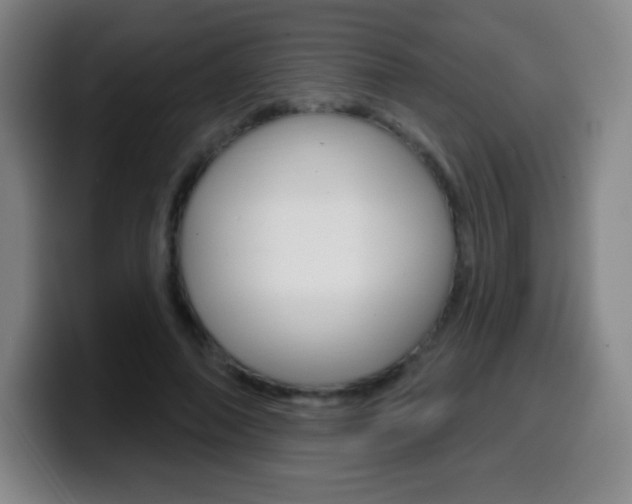 X0000099520690200805151033