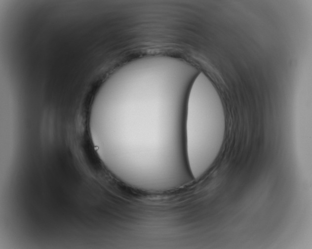 X0000099520691200805151033