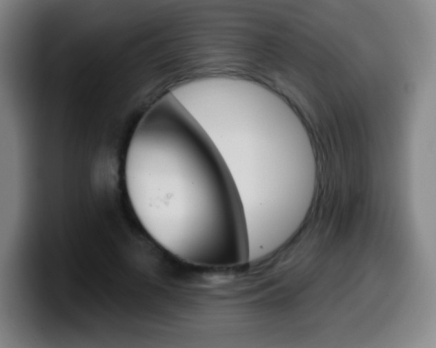 X0000099520693200805151033