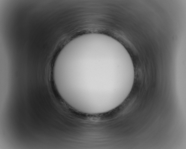 X0000099520694200805151033