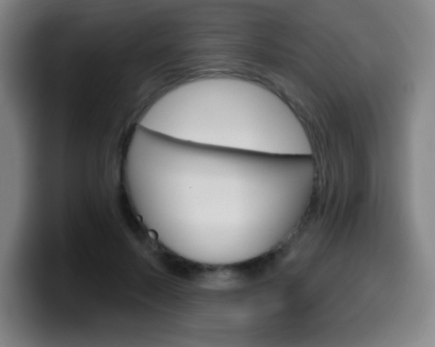 X0000099520695200805151033