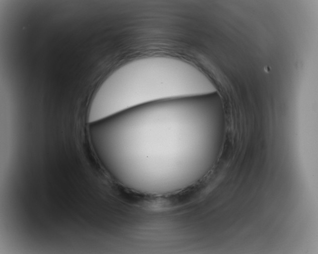 X0000099520696200805151033