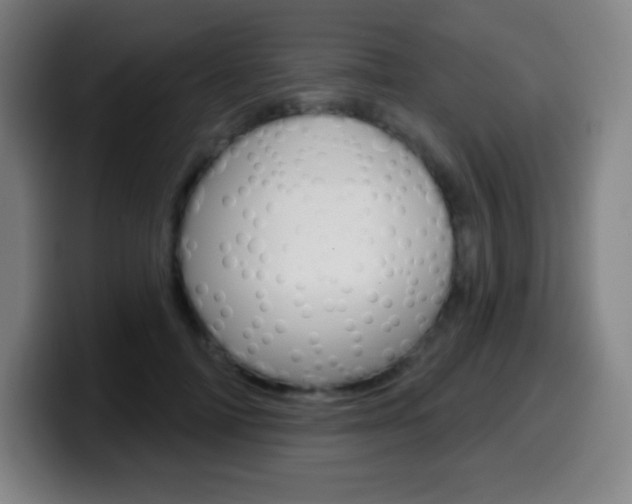 X0000099520698200805151033