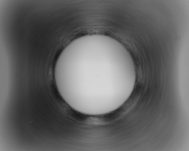 X0000099520699200805151033