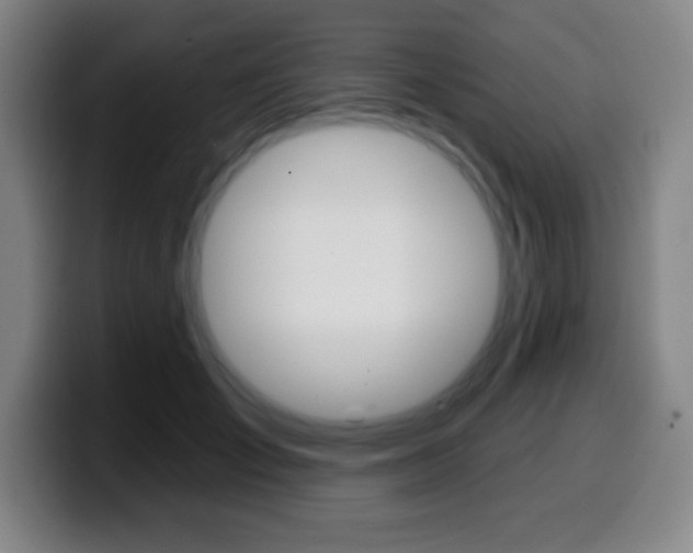 X0000099520701200805151033