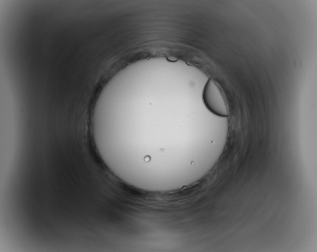 X0000099520702200805151033