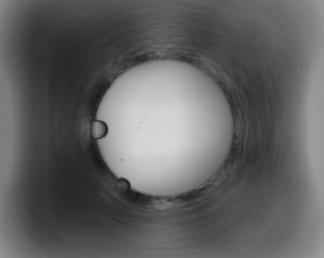 X0000099520703200805151033
