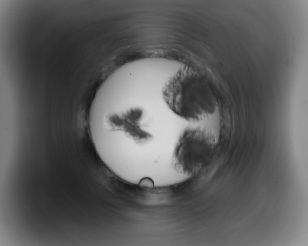 X0000099520707200805151033