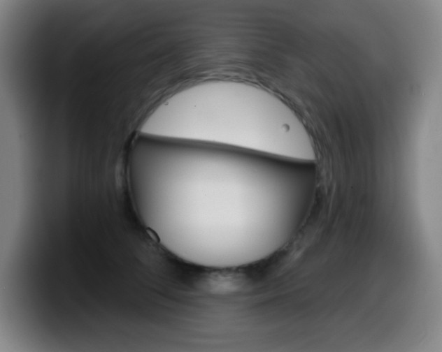 X0000099520708200805151033