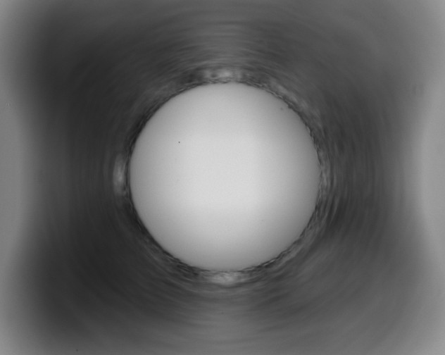 X0000099520709200805151033