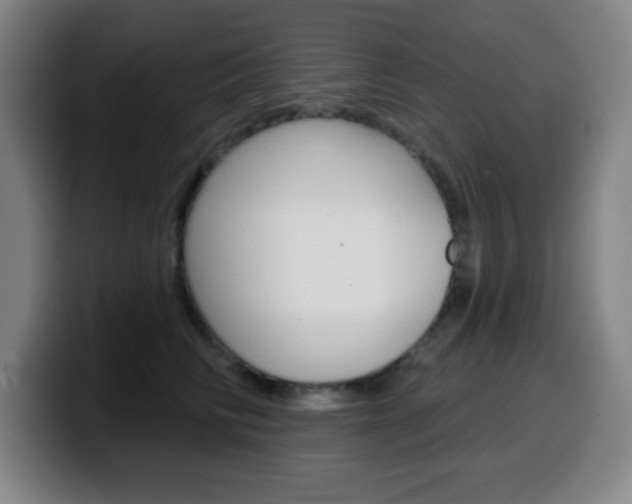 X0000099520710200805151033