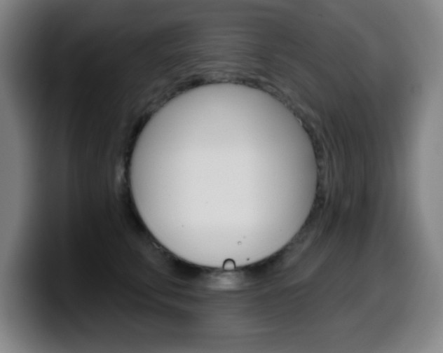 X0000099520711200805151033