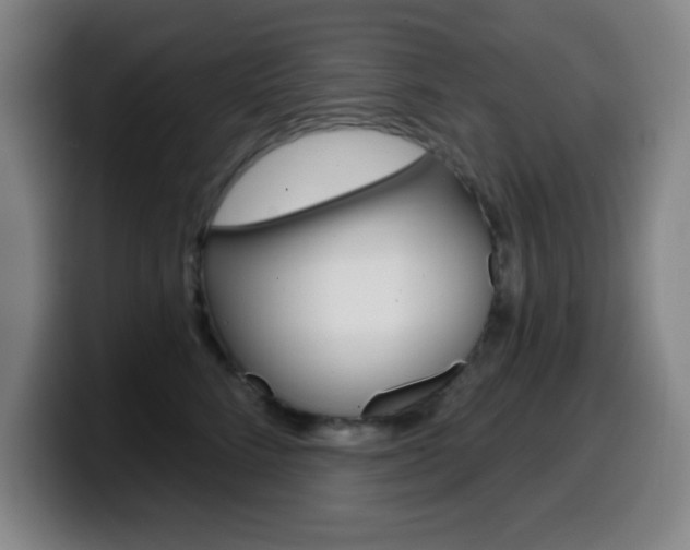 X0000099520712200805151032