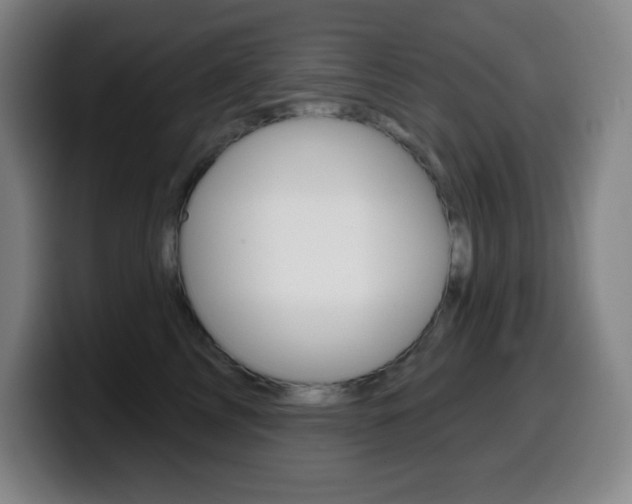 X0000099520713200805151032