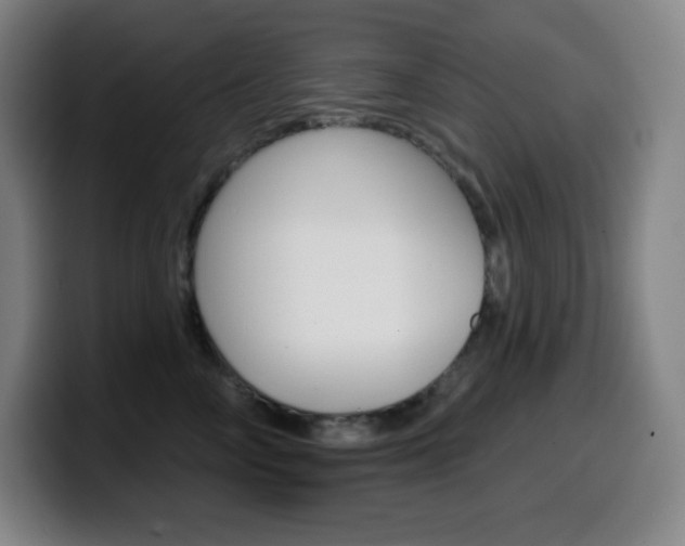 X0000099520714200805151032