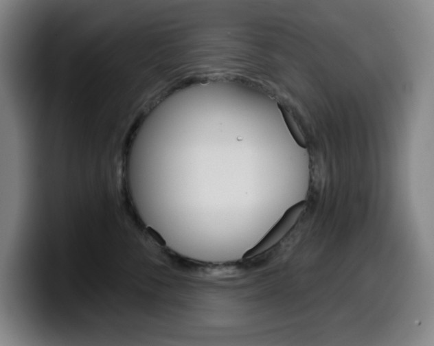 X0000099520716200805151032