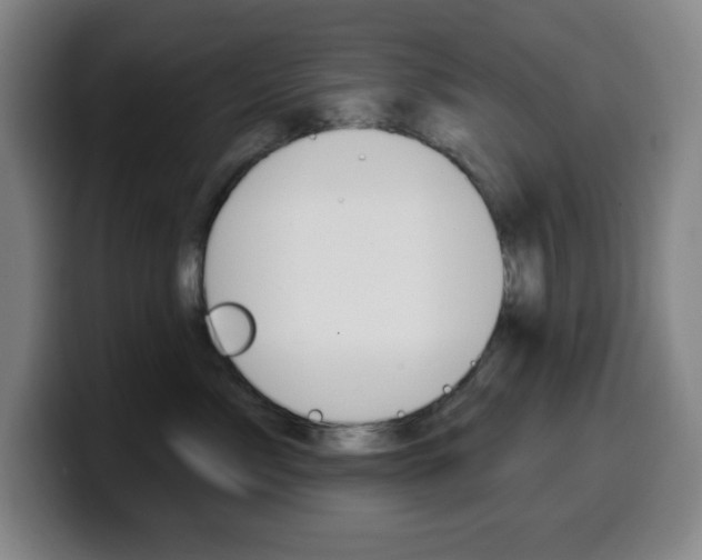 X0000099520717200805151032
