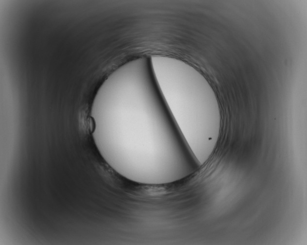 X0000099520719200805151032