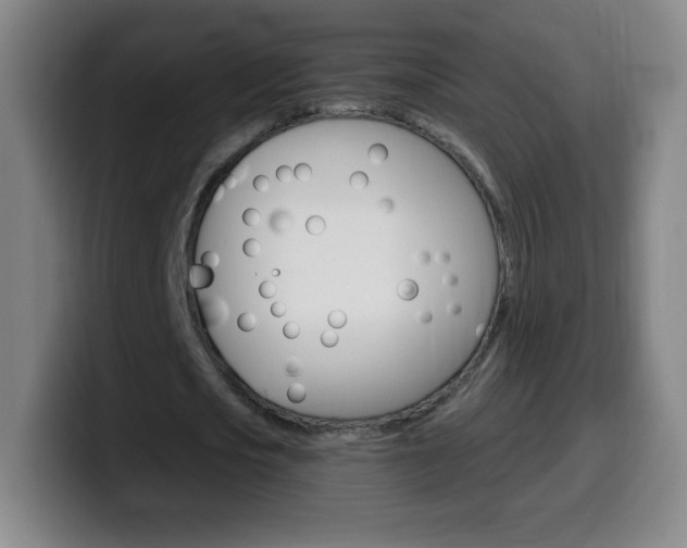 X0000099520721200805151032