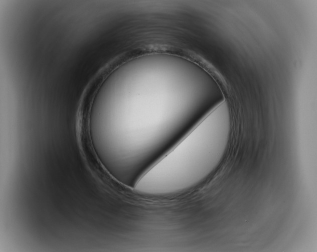 X0000099520722200805151032