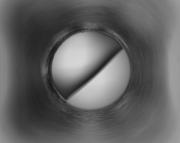 X0000099520723200805151032