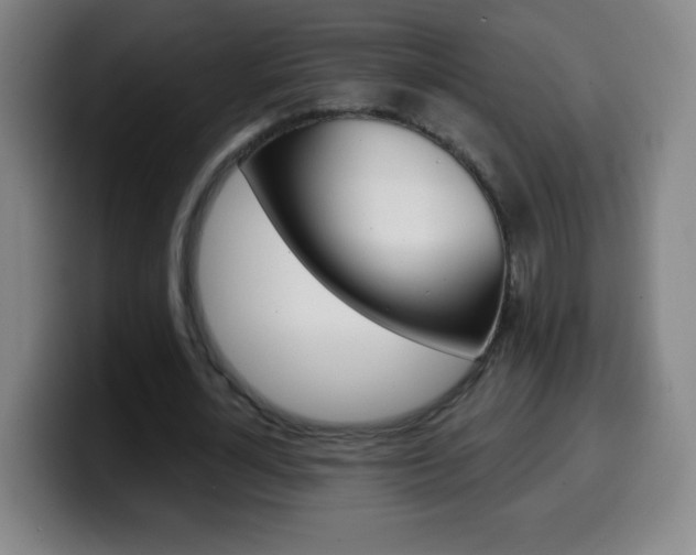 X0000099520724200805151032