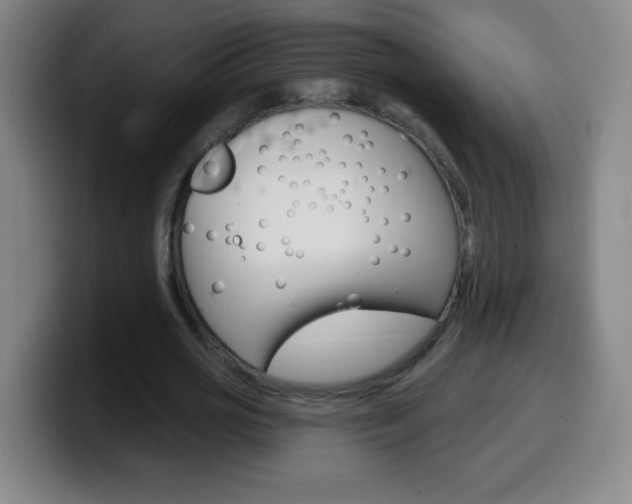 X0000099520725200805151032