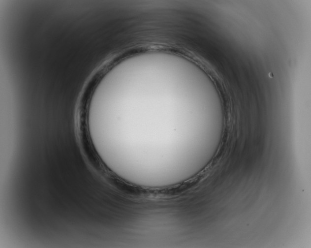 X0000099520730200805151032