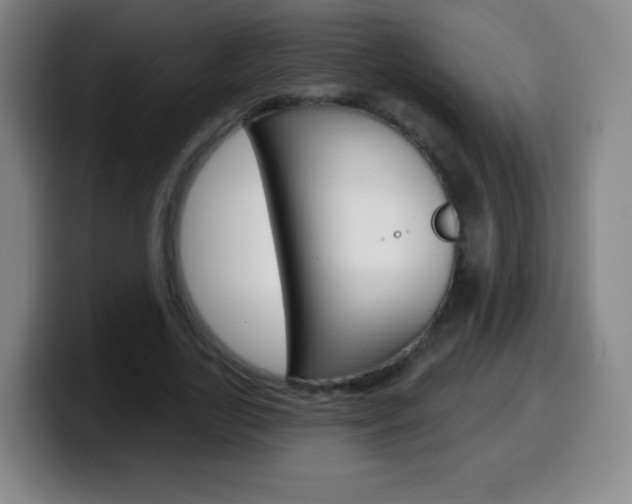X0000099520731200805151032